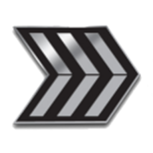 SFMC Rank Pin, Enlisted, 3 Chevron
