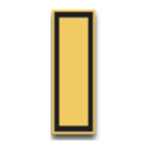 SFMC Rank Bar, Flag Officer, Brigadier General