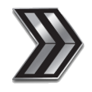 SFMC Rank Pin, Enlisted, 2 Chevron